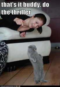 719e7d8baad674fa77b6e10a514c6a8f