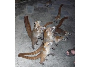 7da17b4eef5cc1d6fb2293282e8743f6