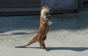 89e1dfbbb7f5ba24c656c6ec7e76fb99