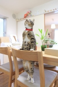 8bdedbe458d39a1ac7ccf3e0db05a9fc