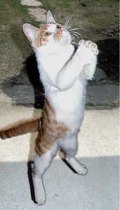 a112d4b4b5362ad0e7a07b558b12dbc1