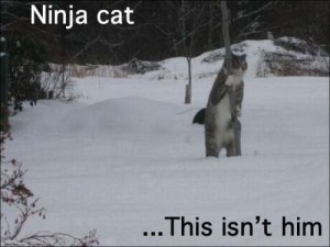 b9a224b593d89a91f2dd0c1baa11cb33