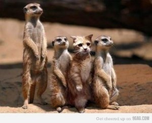 cd2e69d4723b09435f7cf1b5aff431e2