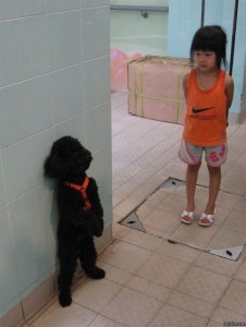 d3d3bac385fe2628f50ce40e9ffe1b5f